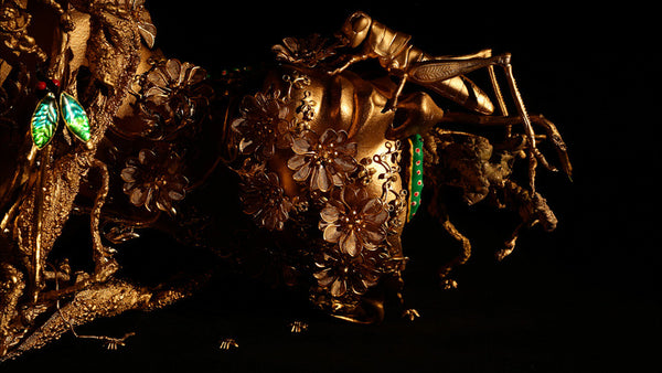 Black Gold - HD Download
